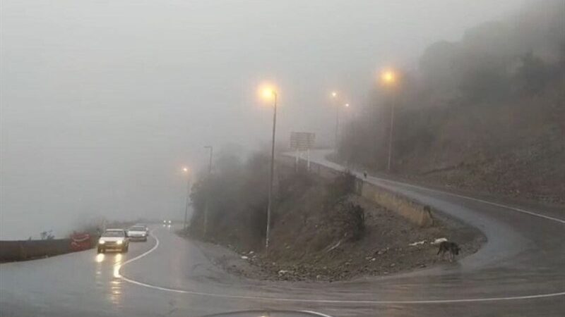 بارش برف و مه‌گرفتگی شدید در جاده‌های 9 استان؛ رانندگان مراقب باشند!