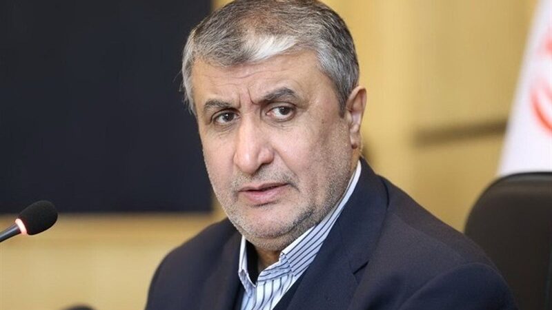 اسلامی خبر داد: 56 کشور به دنبال محصولات هسته‌ای ایرانی هستند!