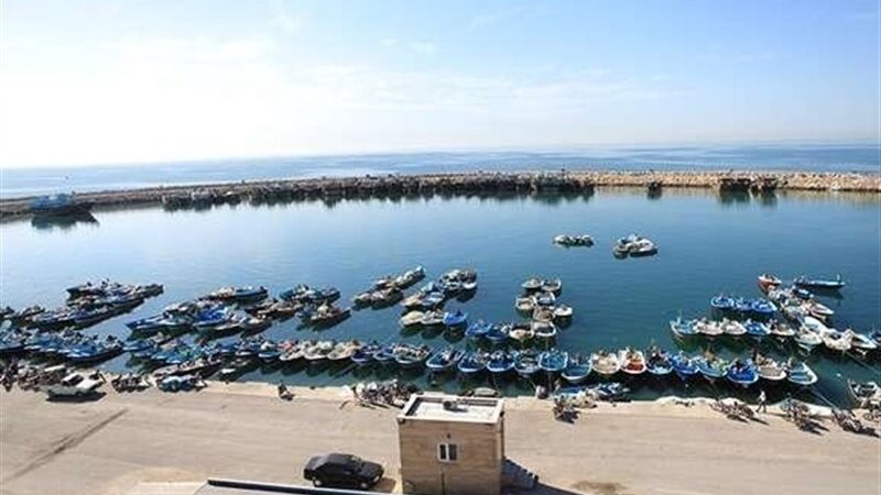 الزام همراه داشتن کارت صیادی و ناخدایی در سواحل خلیج فارس بوشهر؛ صیادان مراقب باشند!