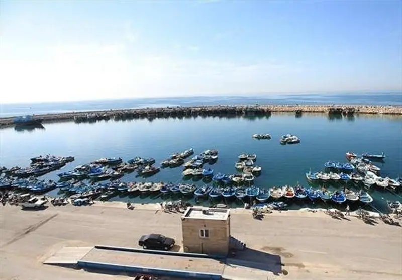 الزام همراه داشتن کارت صیادی و ناخدایی در سواحل خلیج فارس بوشهر؛ صیادان مراقب باشند!