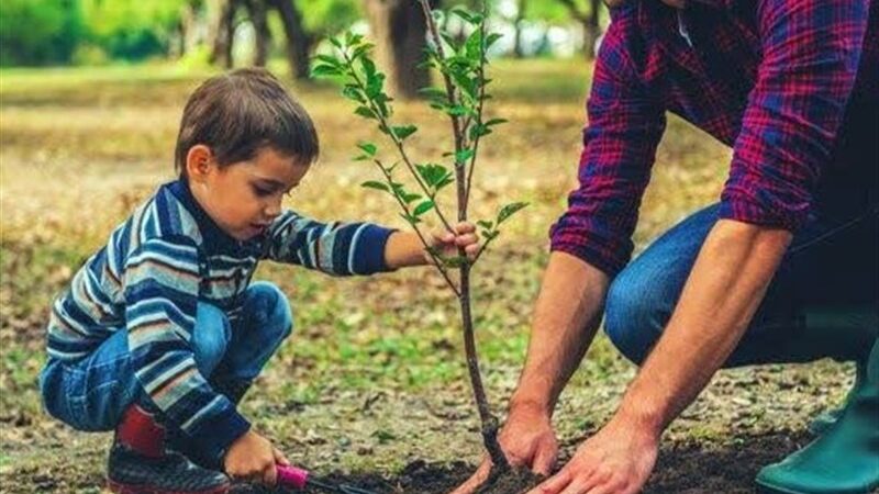 1200 نهال به یاد مادران شهید در مازندران کاشته شد؛ حرکتی زیبا و تأثیرگذار