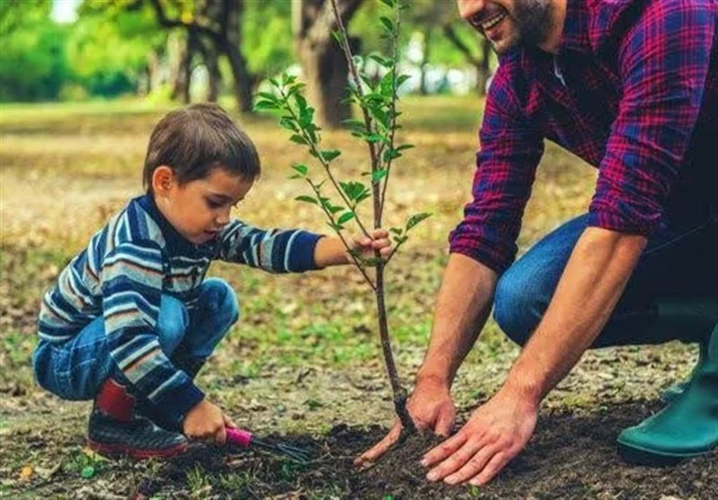 1200 نهال به یاد مادران شهید در مازندران کاشته شد؛ حرکتی زیبا و تأثیرگذار