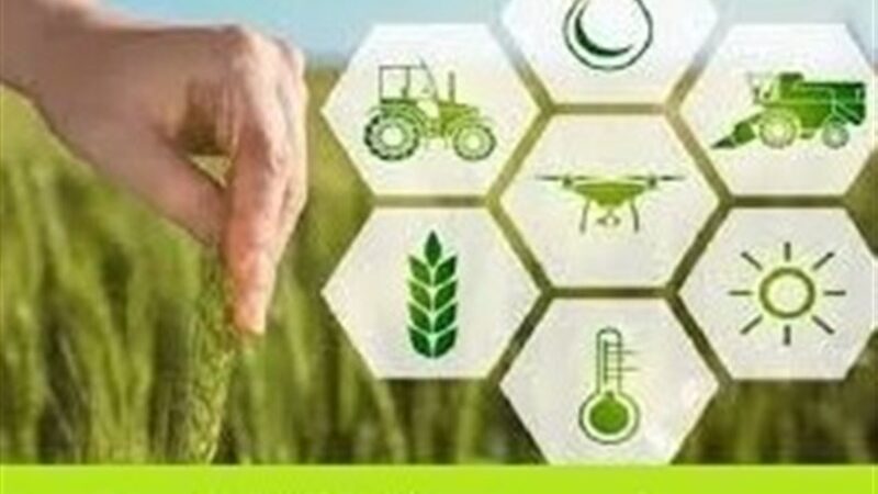 نخستین محموله محصولات کشاورزی دزفول مستقیم به روسیه صادر شد