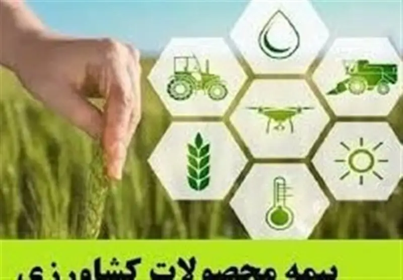 نخستین محموله محصولات کشاورزی دزفول مستقیم به روسیه صادر شد