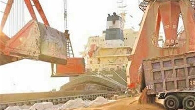 ترخیص 5.8 میلیون تن نهاده دامی از بندر امام؛ نظارت دقیق دامپزشکی تضمین سلامت!