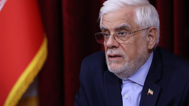 محمدرضا عارف در دیداری ویژه با خانواده اشرف بروجردی؛ یاد و خاطره‌ای که فراموش نمی‌شود