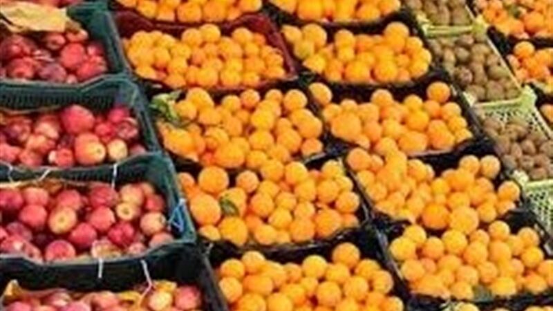 مازندران چگونه 300 تن میوه شب عید را ذخیره کرد؟ جزئیات شگفت‌انگیز از پشت‌پرده تأمین سیب و پرتقال!