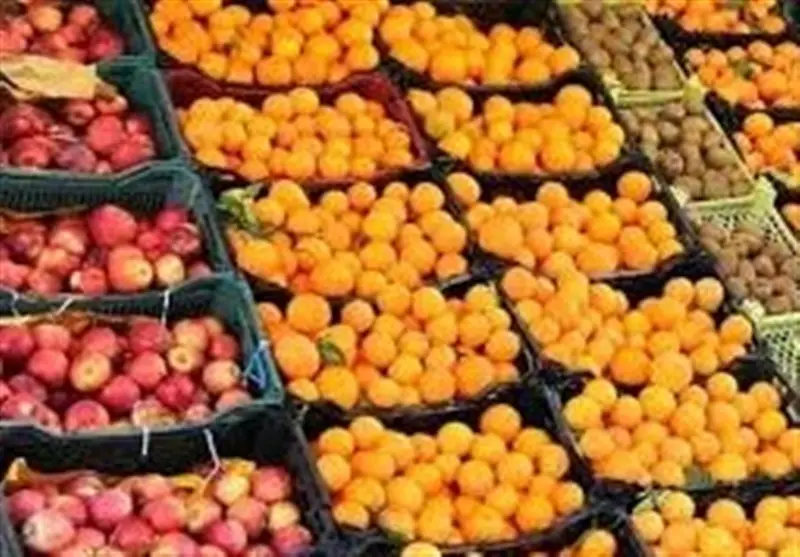 مازندران چگونه 300 تن میوه شب عید را ذخیره کرد؟ جزئیات شگفت‌انگیز از پشت‌پرده تأمین سیب و پرتقال!