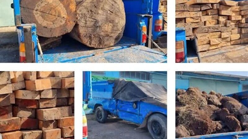 دادستانی آمل به‌صورت قاطعانه مرکز دپوی قاچاق چوب‌های جنگلی را کشف و متلاشی کرد!