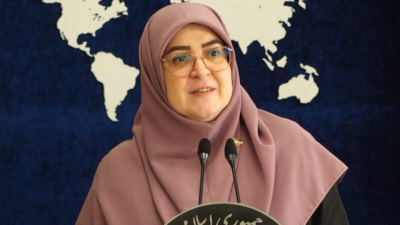 دولت چرا مصوبه بنزینی را اجرایی کرد؟ نگاهی به اهداف پنهان و مهم