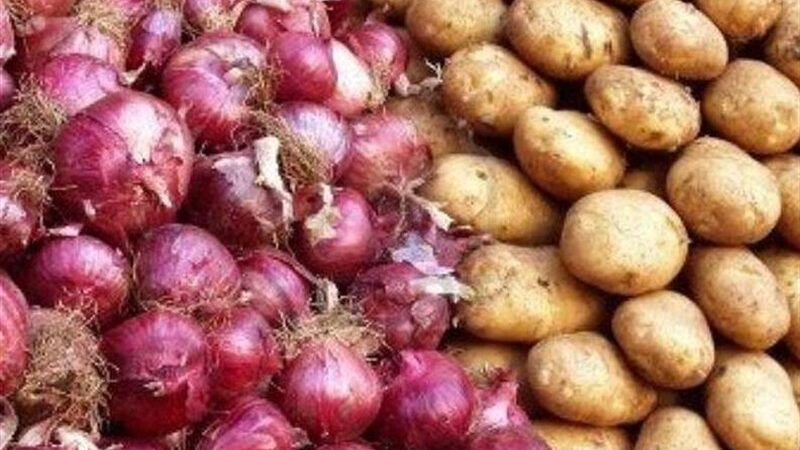 بازار میوه‌های شب یلدا در آرامش کامل؛ کمبود و گرانی در راه نیست!