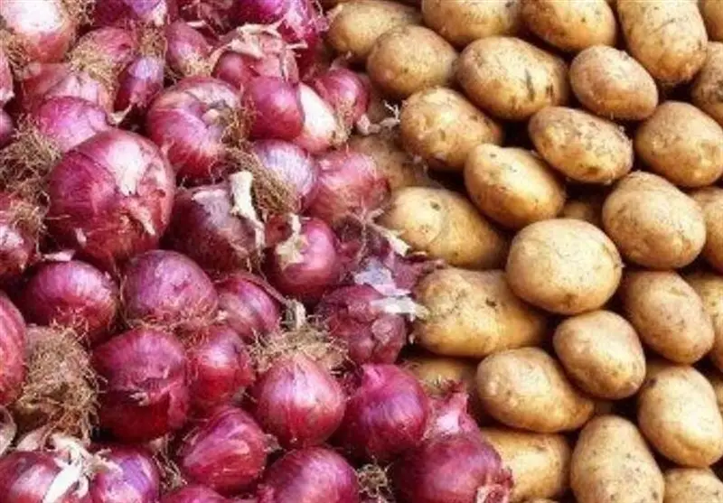 بازار میوه‌های شب یلدا در آرامش کامل؛ کمبود و گرانی در راه نیست!