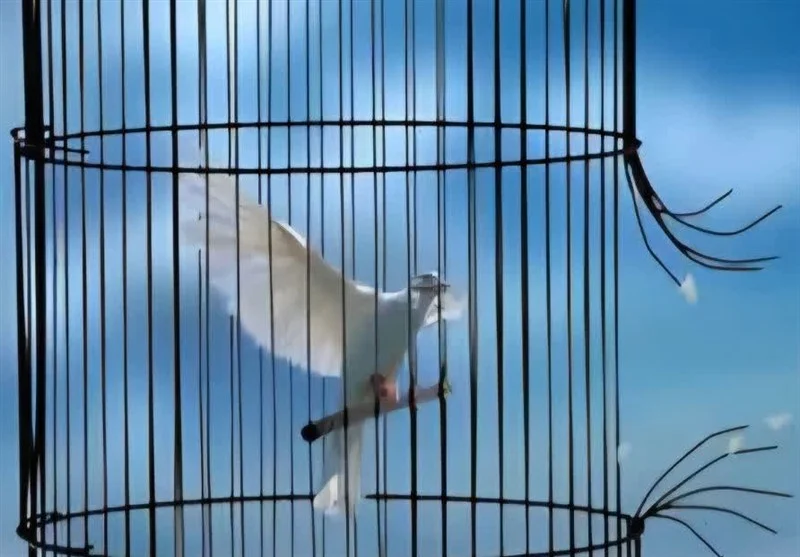 آزادی ۶ زن زندانی جرایم غیرعمد در جشن گلریزان ویژه در فرودگاه کرمان