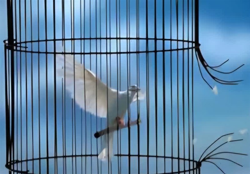 آزادی ۵ زندانی غیرعمد در کاشان با همت خیران؛ قصه‌ای از همدلی و بخشش