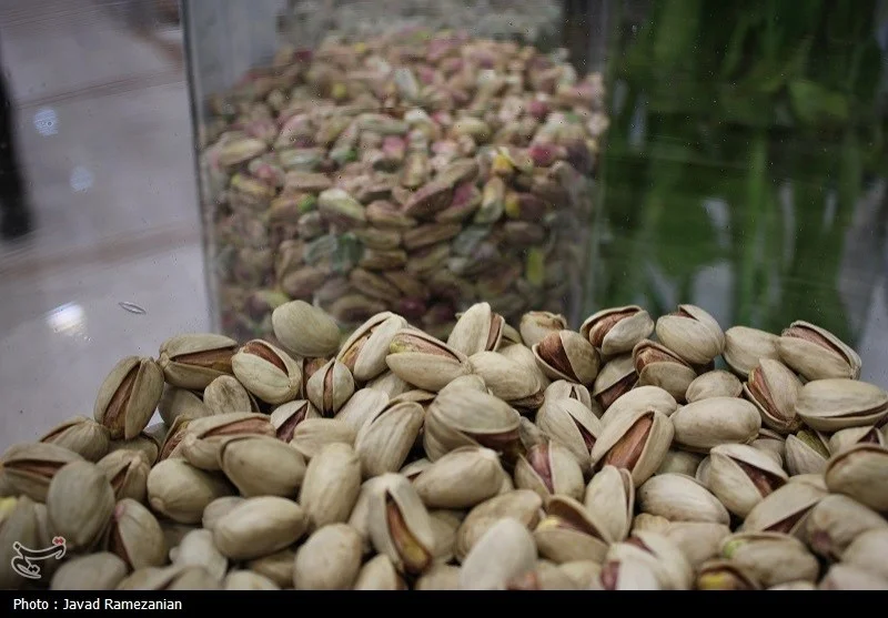 سارقان حرفه‌ای پسته در خاتم یزد پس از 8 فقره سرقت زنجیره‌ای دستگیر شدند!