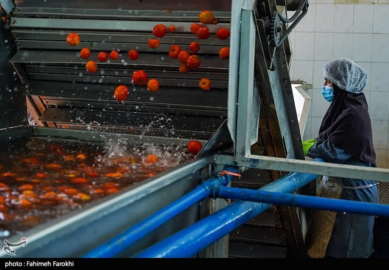 جای خالی صنایع تبدیلی در محصولات راهبردی/590 واحد جدید در گلستان ایجاد می‌شود