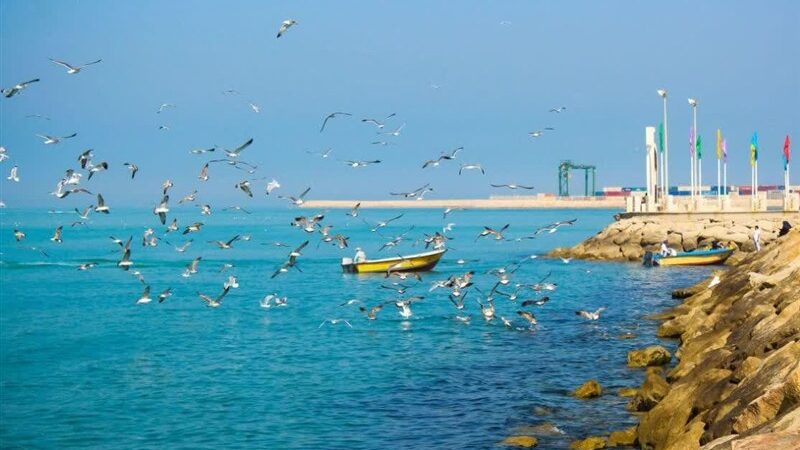 آرامش جوی بوشهر در آستانه وزش بادهای شمال‌غربی؛ دریانوردان مراقب باشند!