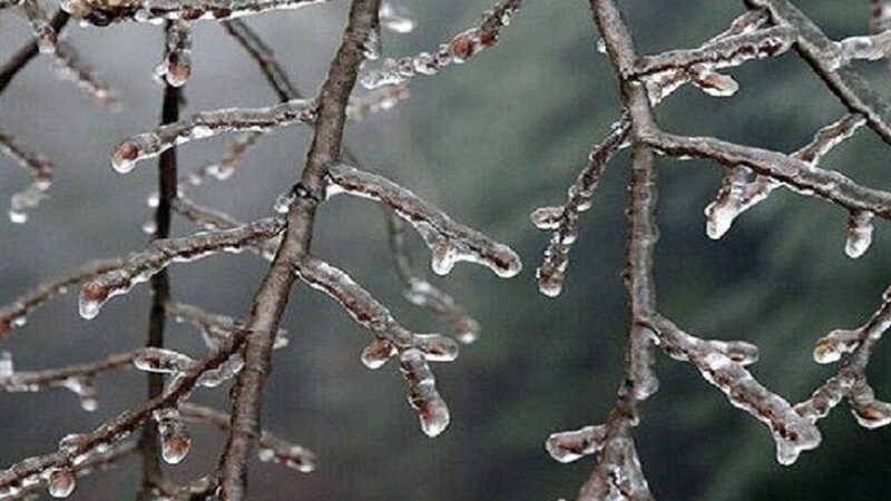 هشدار نارنجی هواشناسی؛ گلستان فردا یخ می‌زند