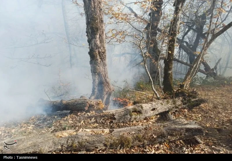 مجلس درباره علل آتش سوزی جنگل هیرکانی منطقه الیت - وب‌گردی