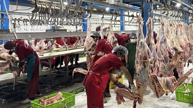 کردستان؛ سرزمین تولید اما سفره‌های گران مرغ و گوشت چرا پرخرج‌تر شد؟