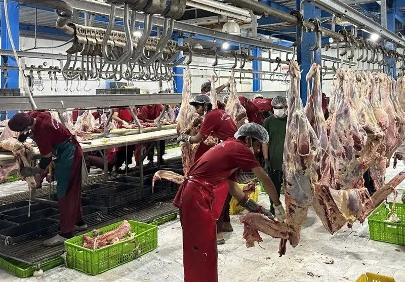 کردستان؛ سرزمین تولید اما سفره‌های گران مرغ و گوشت چرا پرخرج‌تر شد؟