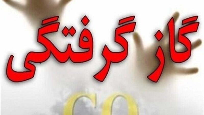 گاز گرفتگی ناگهانی دو نفر در شهرک صنعتی اردبیل؛ اورژانس به موقع رسید!