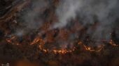 آتش‌سوزی مهیب در جنگل‌های هیرکانی توسکستان؛ نبرد نفس‌گیر نیروها با زبانه‌های آتش ادامه دارد