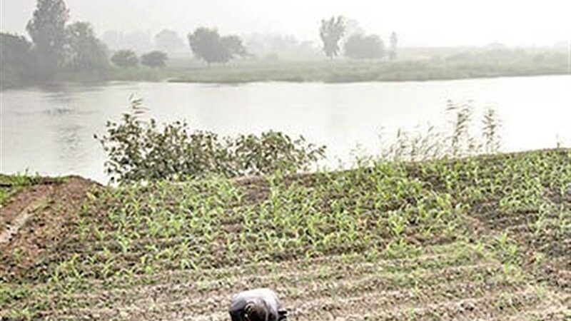 نیل؛ شریان حیات مصر باستان که کشاورزی را زیر و رو کرد!