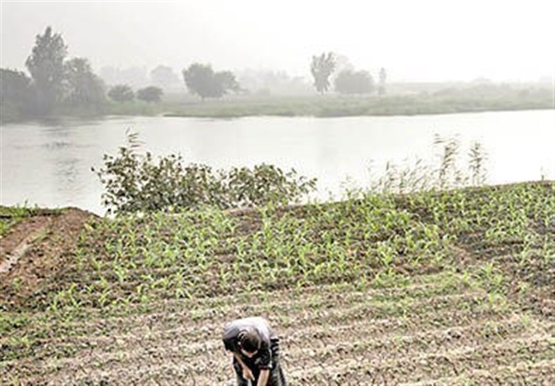نیل؛ شریان حیات مصر باستان که کشاورزی را زیر و رو کرد!