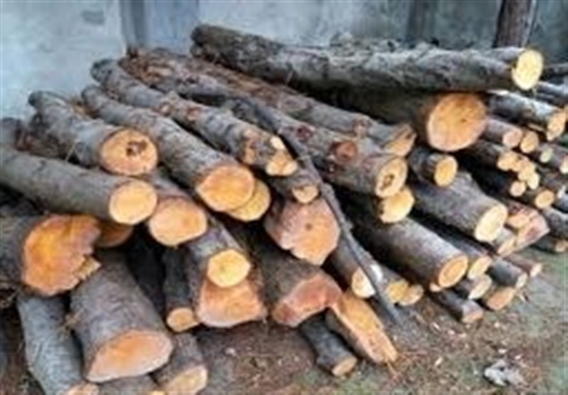 کشف حیرت‌انگیز 4 تن هیزم جنگلی غیرمجاز در اردبیل؛ مأموران حفاظت وارد عمل شدند!