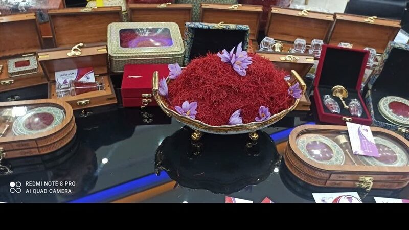 تایباد چگونه با کشت زعفران بحران آب را مدیریت کرد؟ جایگزینی کم‌آب‌بر که اشتغال را هم افزایش داد!