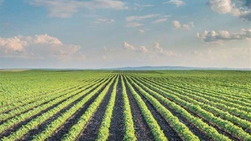 ثبت 56 هزار درخواست مجوز کسب‌وکار الکترونیکی در مازندران