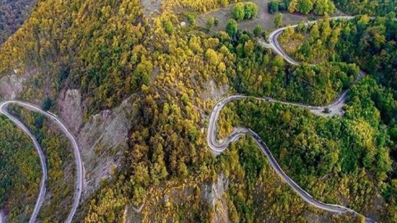 آفرود و شلیک در قلب جنگل‌های هیرکانی؛ آرامش باستانی زیر سایه تهدیدهای نوین!