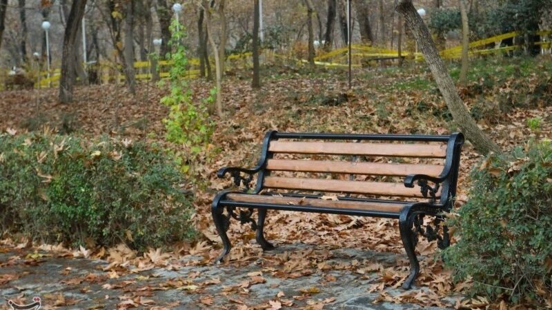 بهکده رضوی رکورددار بارش در خراسان شمالی با ثبت 21.7 میلی‌متر باران شد!