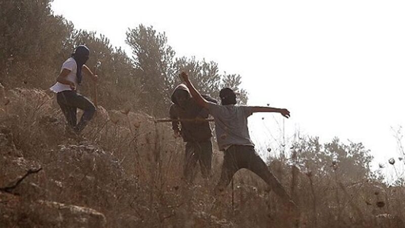 سازمان ملل افشا کرد: روزانه ۵ بار یورش وحشیانه شهرک‌نشینان به کرانه باختری!