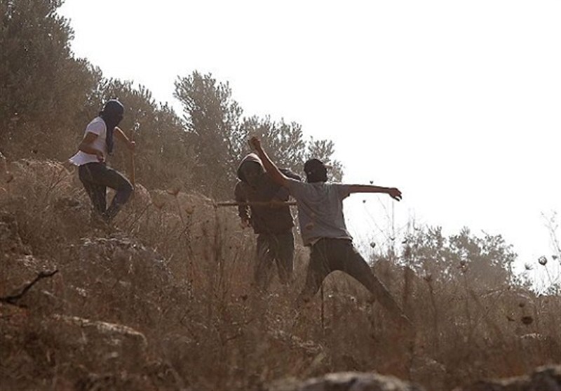 سازمان ملل افشا کرد: روزانه ۵ بار یورش وحشیانه شهرک‌نشینان به کرانه باختری - وب‌گردی