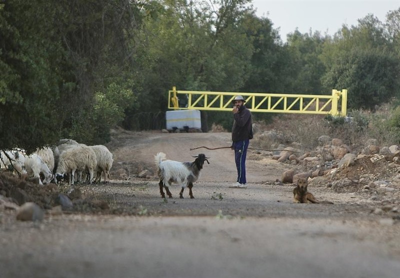 معیشت مردم قنیطره زیر سایه اشغال اسرائیل؛ خشم و اعتراض شدید سوری‌ها به انفعال جولانی