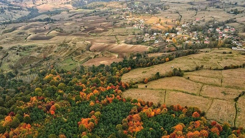 خلع‌ید 631 هکتار از منابع طبیعی شمال؛ سنددار شدن 23 هزار هکتار از سواحل و تالاب‌ها در گلستان