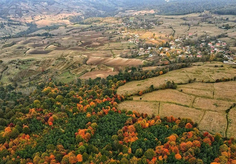 خلع‌ید 631 هکتار از منابع طبیعی شمال؛ سنددار شدن 23 هزار هکتار از سواحل و تالاب‌ها در گلستان