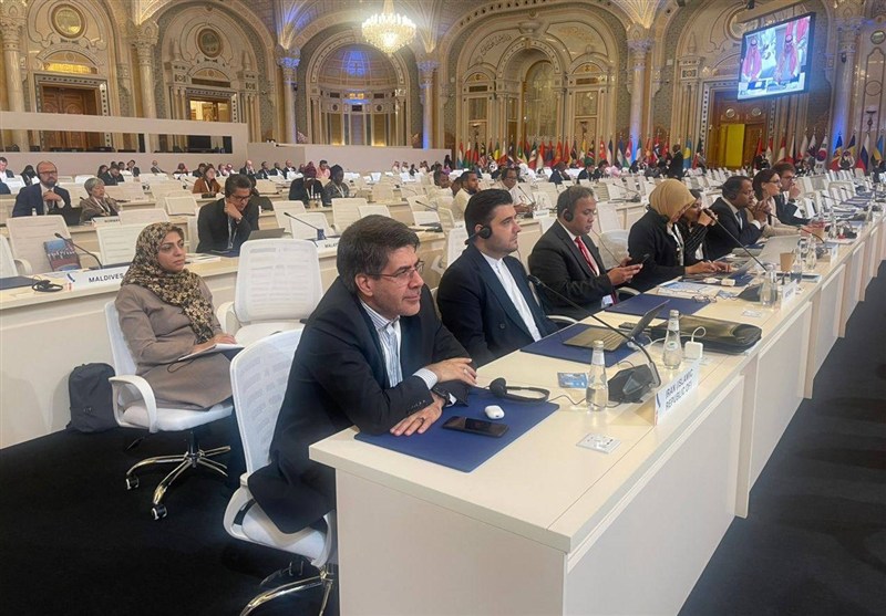 ساداتی‌نژاد فاش کرد: ایران چگونه می‌تواند آلاینده‌های صنعتی را با کمک یونیدو کاهش دهد؟ - وب‌گردی