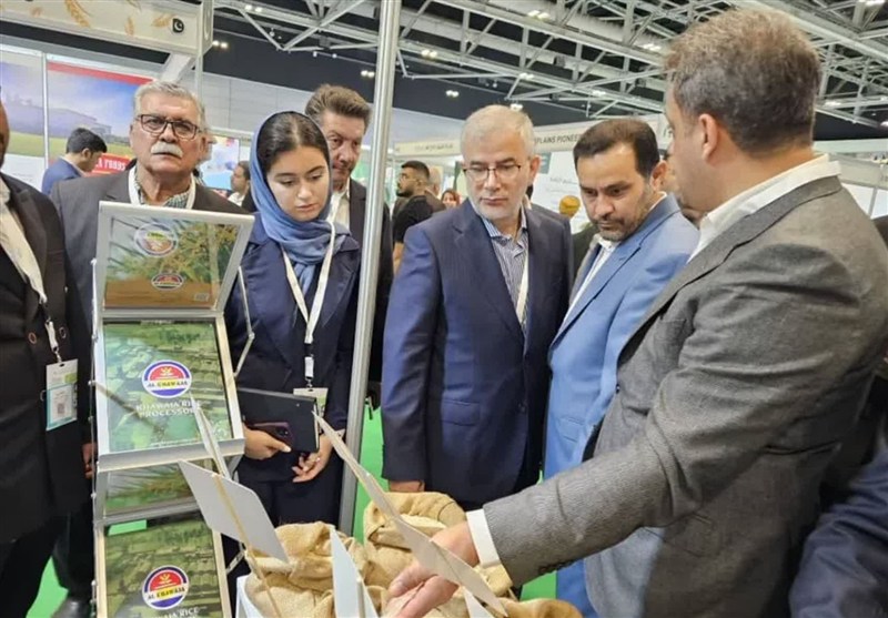 فرصت طلایی البرز برای فتح بازار عمان در نمایشگاه اگروفود مسقط