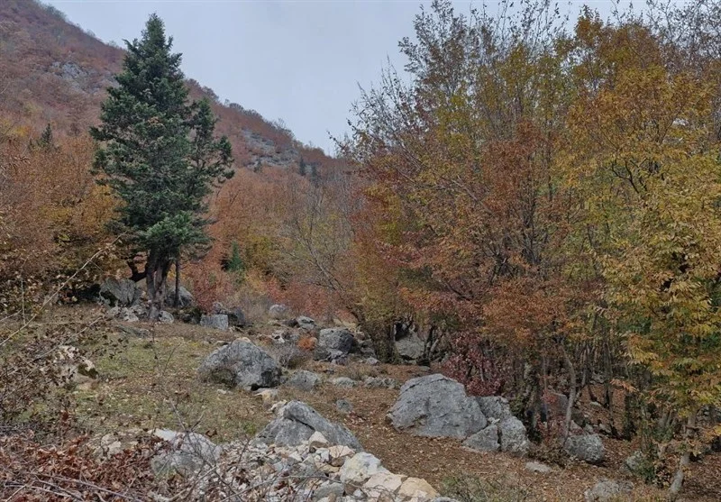 آمادگی کامل شهرداری شیراز برای نخستین بارش‌های پاییزی - وب‌گردی