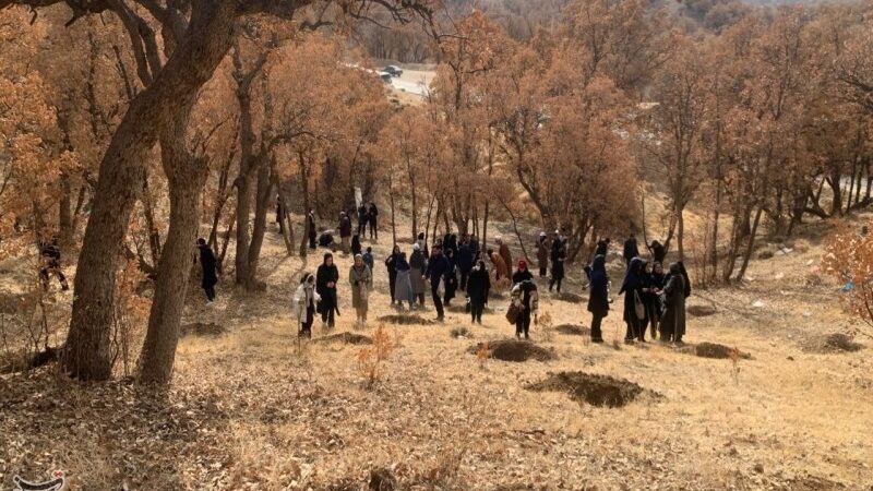 پویش ایران بانو با کاشت نهال به استقبال روز مادر رفت