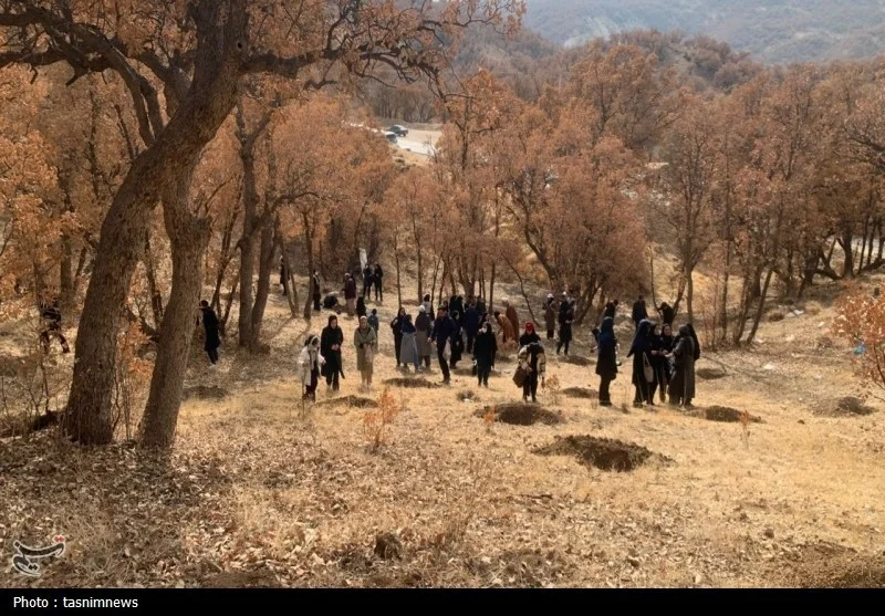 پویش ایران بانو با کاشت نهال به استقبال روز مادر رفت