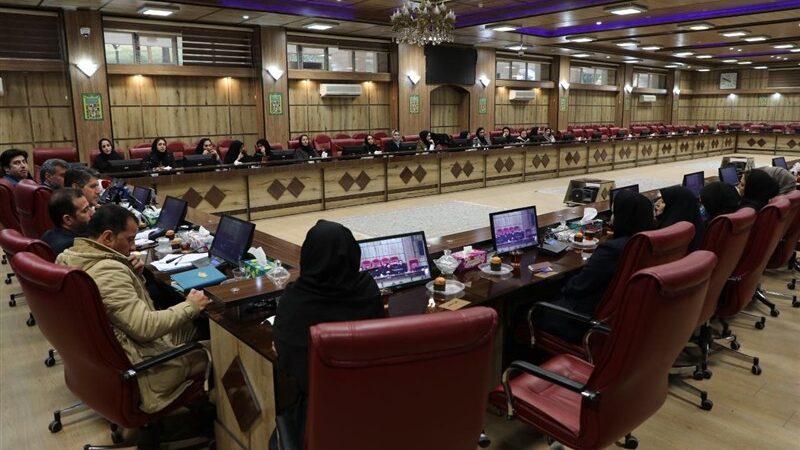 چالش‌های کارآفرینی در استان ایلام/ وقتی تبعیض جنسیتی هنوز در ساختار اداری زنده است!