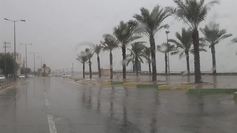 بارش بی‌سابقه 60 میلیمتری باران در شمال بوشهر؛ پاییز آغاز شد!