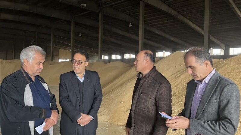 گشایش ارزی ۱.۷ میلیارد دلاری؛ نفس تازه برای تامین نهاده‌های دامی استان مرکزی