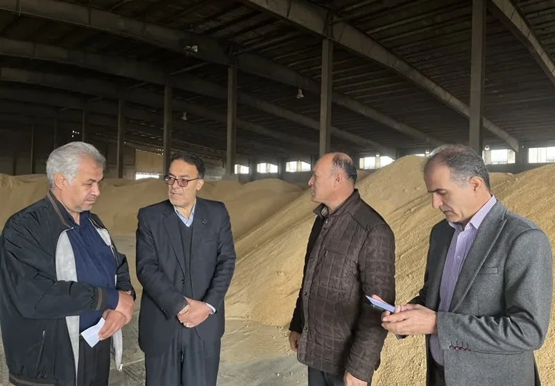گشایش ارزی ۱.۷ میلیارد دلاری؛ نفس تازه برای تامین نهاده‌های دامی استان مرکزی