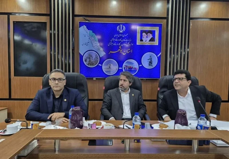 پرداخت هزار میلیارد ریال تسهیلات به مشاغل خانگی بوشهر؛ جهش بزرگ در اشتغال استان!