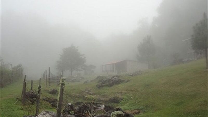 سفر به قلب طبیعت بکر ایلام؛ ماجراجویی مه‌آلودی که آرامش را معنا می‌کند!